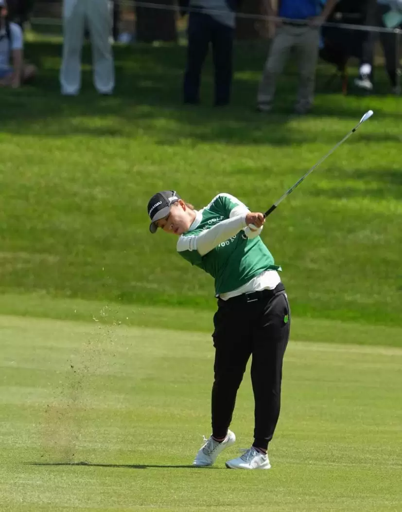 西郷真央のアイアンスイング