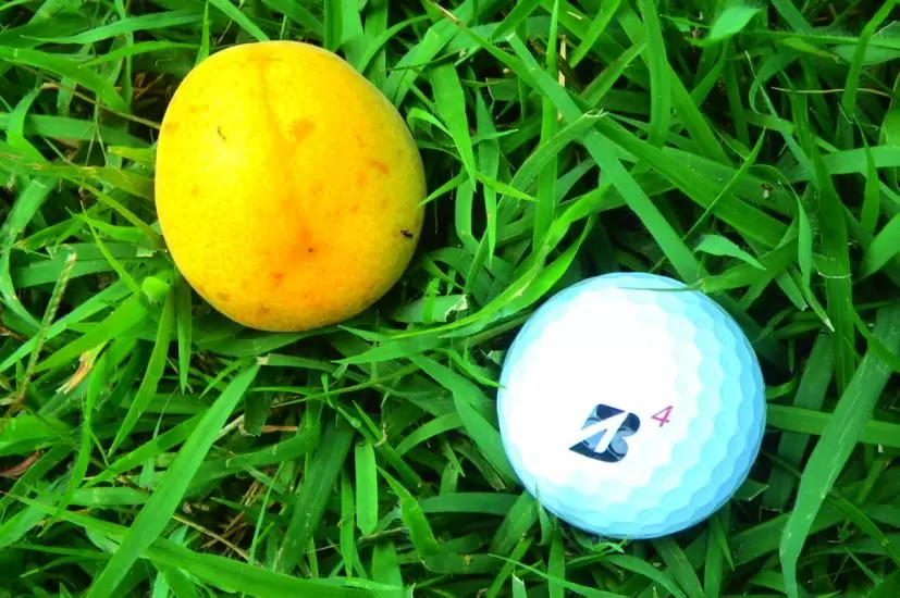 ゴルフボール