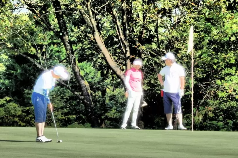 ゴルフ場,グリーン,パター