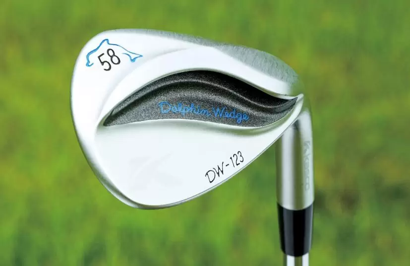 ドルフィンウェッジDW-123