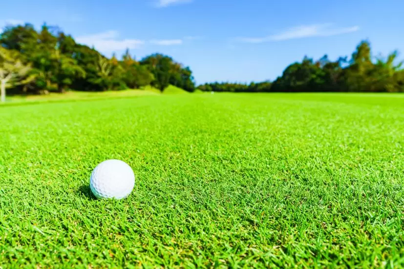 ゴルフ,ボール,飛距離