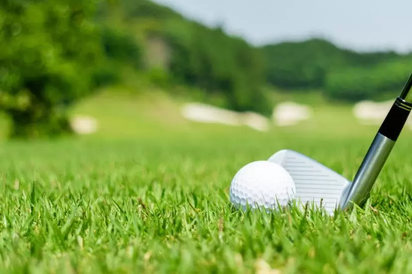 ゴルフクラブ、ボール