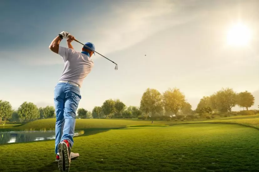 ナイスショット