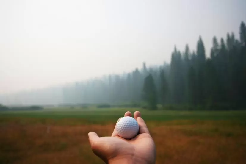 ゴルフボール,手