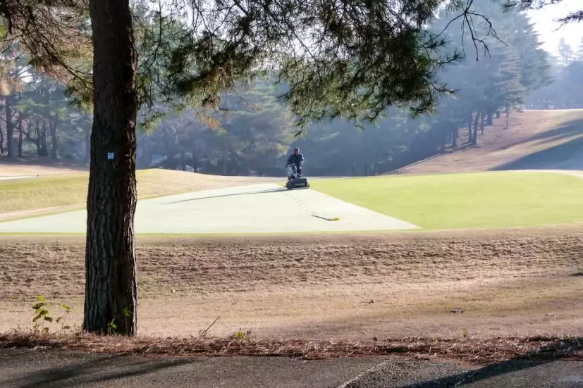 ゴルフ場,グリーン