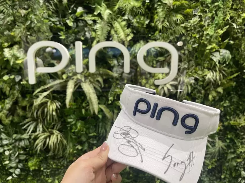 男子プロサイン,PING