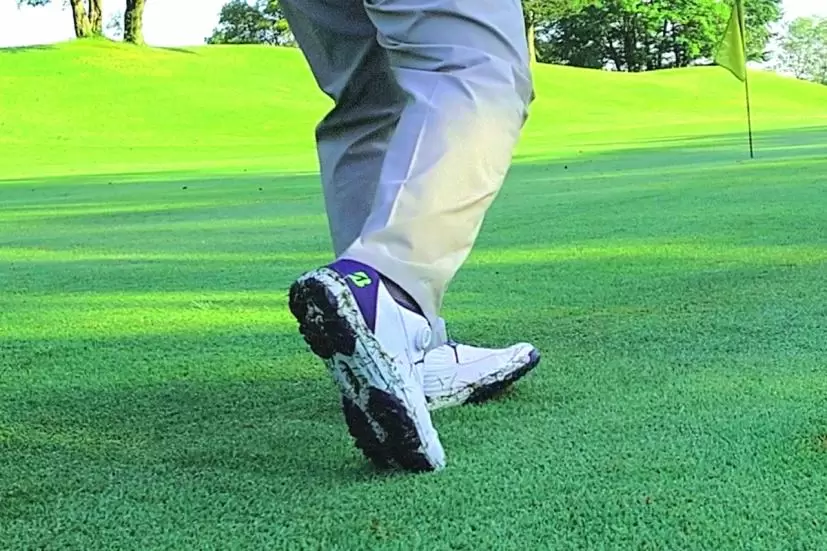 ゼロ・スパイク バイター ライト