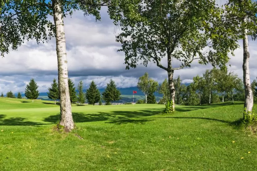 ゴルフ場,木,障害物