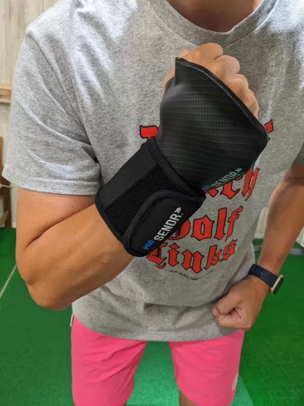 写真４６－１：PROSENDRのUP