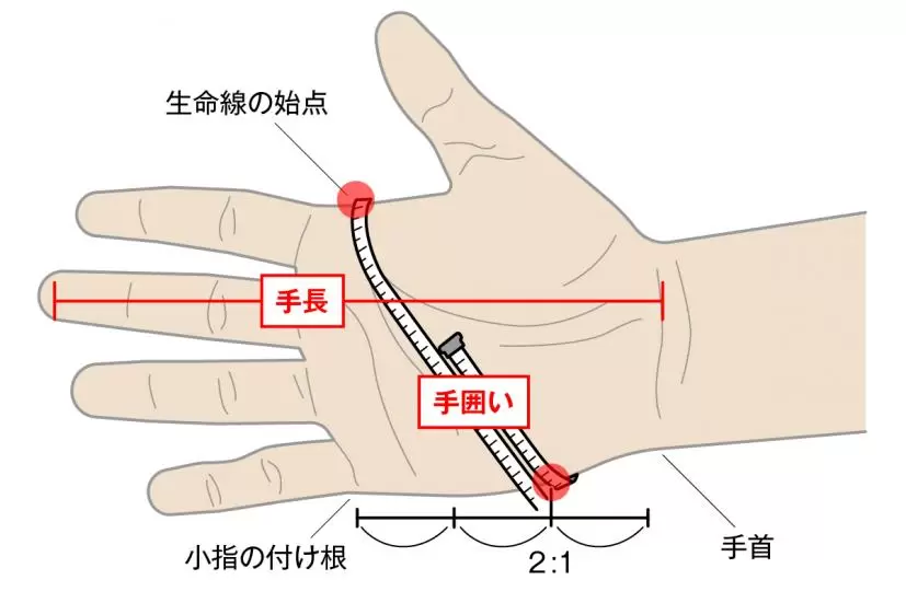 「手囲い」の長さ