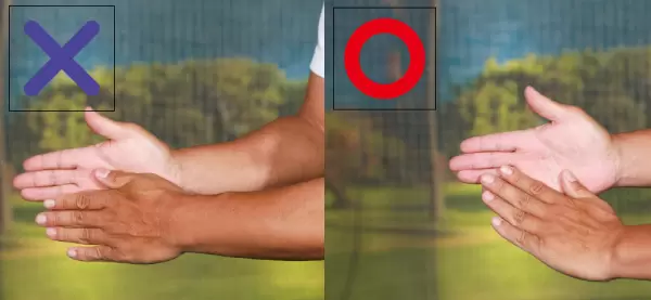 両手の甲の向き