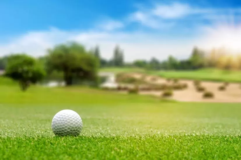 ゴルフボール