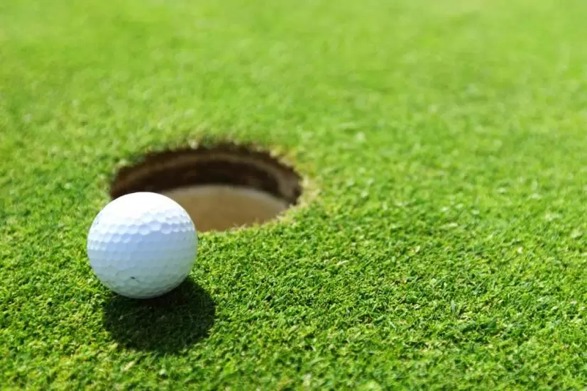 グリーン,カップ,ボール