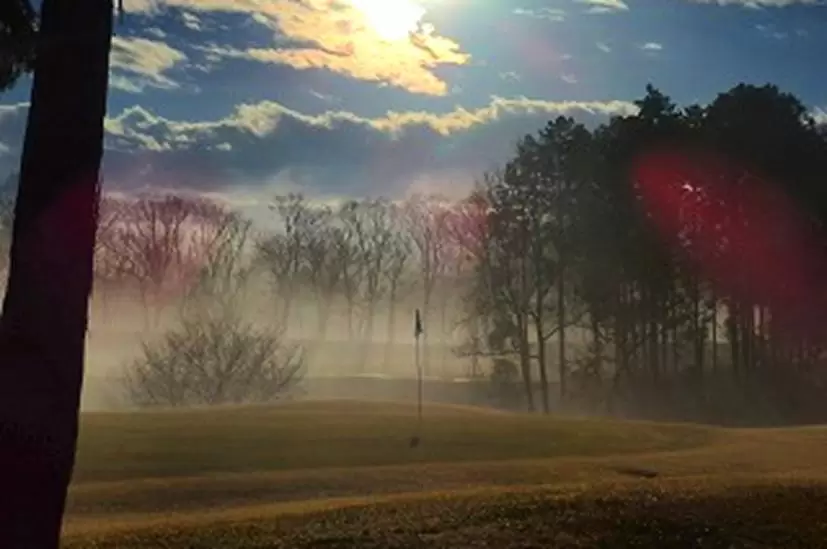 ゴルフ場,グリーン