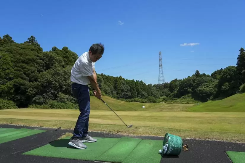 ミズノプロ 245アイアン