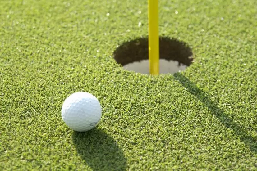 ゴルフボール