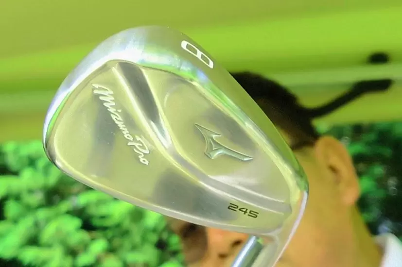 Mizuno Pro 245
