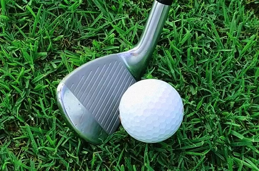 Mizuno Pro 245 アイアン