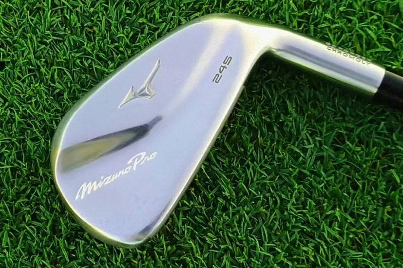 Mizuno Pro 245