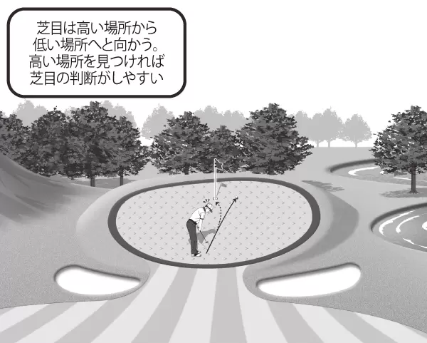 グリーンの芝目