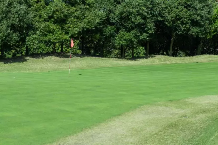 攻略困難なグリーン