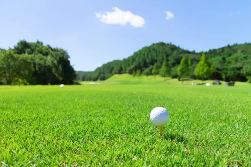 ゴルフ