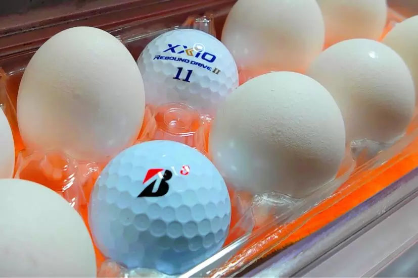 ゴルフボール,卵