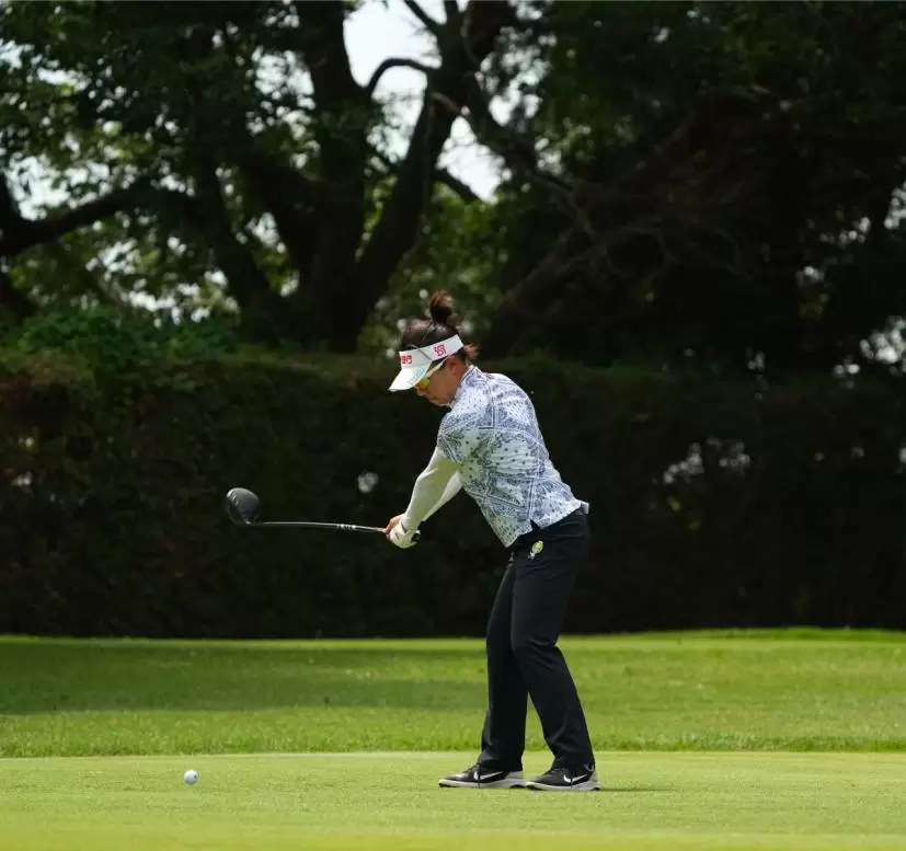 サイ・ペイインのドライバースイング