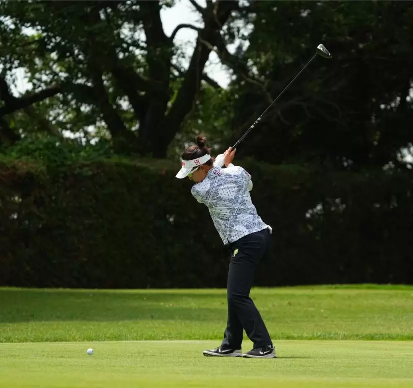 サイ・ペイインのドライバースイング