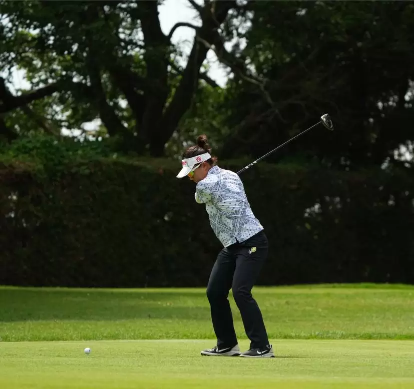 サイ・ペイインのドライバースイング