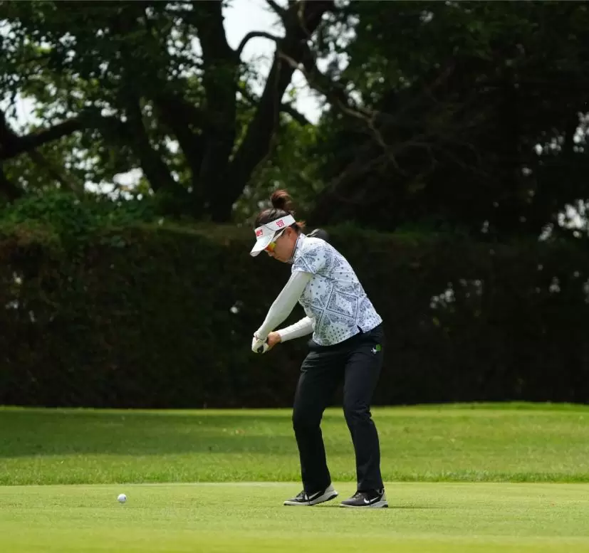 サイ・ペイインのドライバースイング