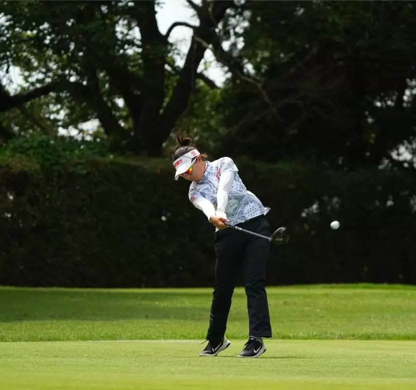 サイ・ペイインのドライバースイング