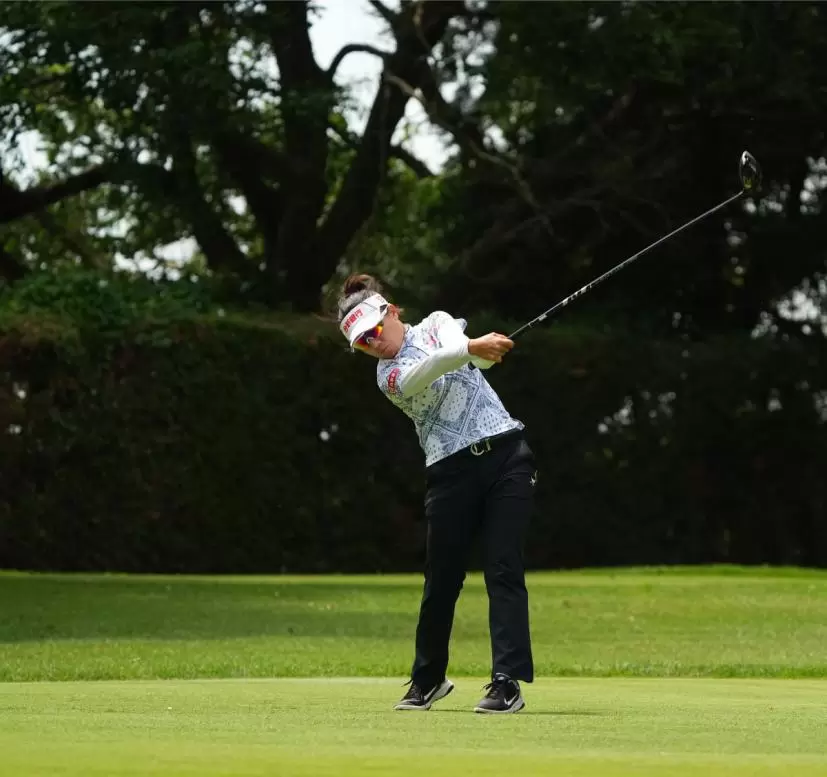 サイ・ペイインのドライバースイング