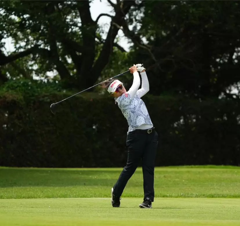 サイ・ペイインのドライバースイング