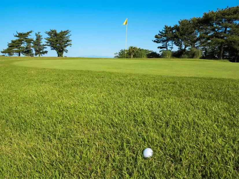 ゴルフ場