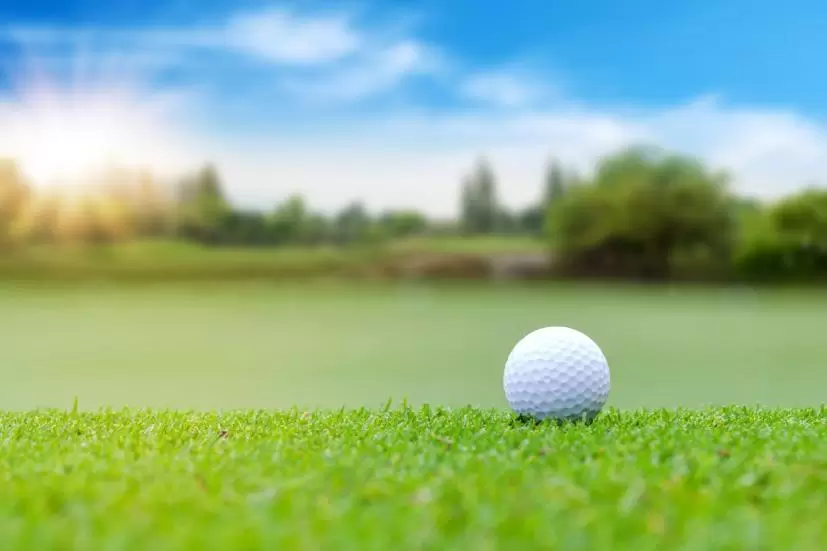 ゴルフボール