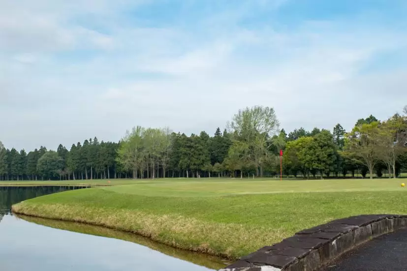 池越えのグリーン