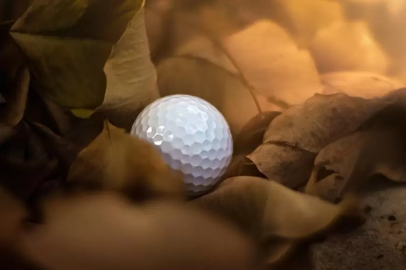 ゴルフボール,落ち葉