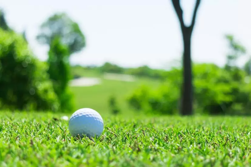 ゴルフ場,フェアウェイ