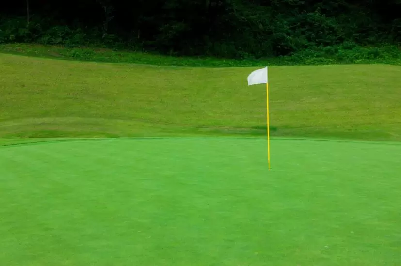 ゴルフ場,グリーン