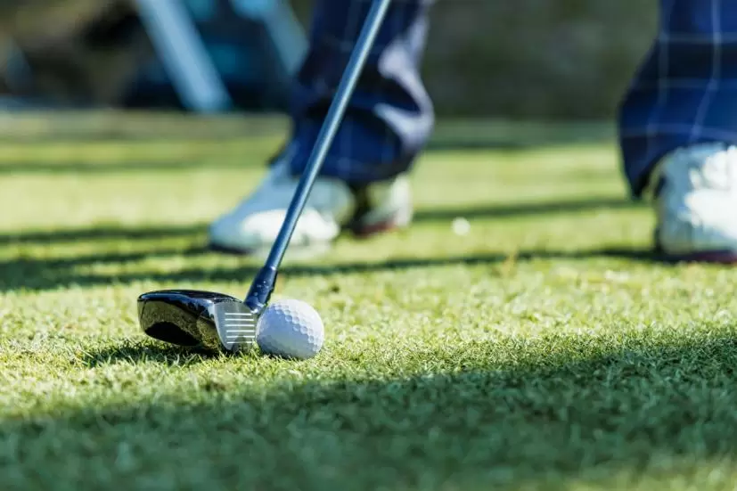 フェアウェイウッド