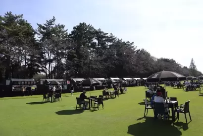 ゾゾチャン,お昼