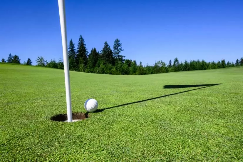 ゴルフ場,ゴルフボール