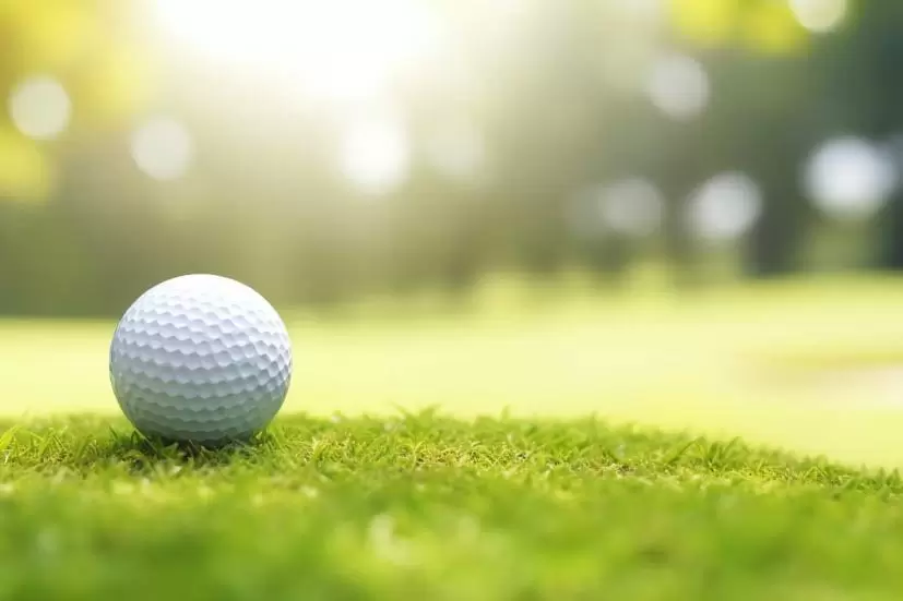 ゴルフボール