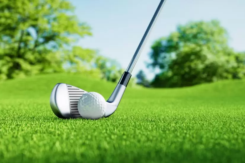 ゴルフ場,ボール