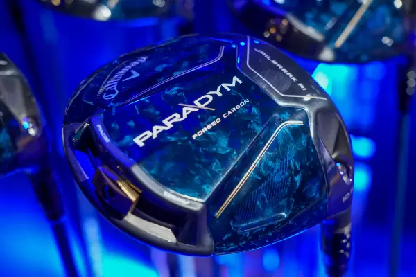 パラダイム ドライバー