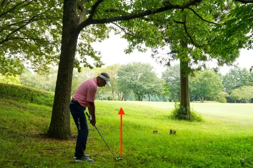 北野正之,ゴルフ場,林