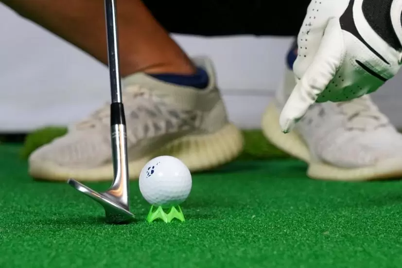 ゴルフボール,ラフ,ティ