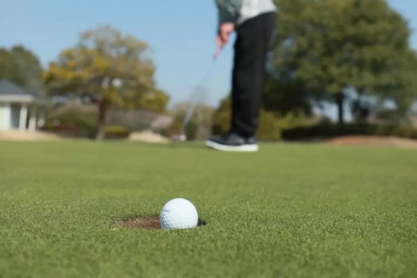 ゴルフ,カップイン