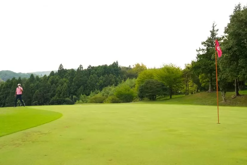 北野正之,グリーン